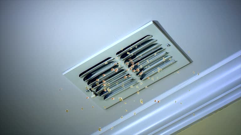 Best Affordable HVAC Duct Cleaning  in George, IA
