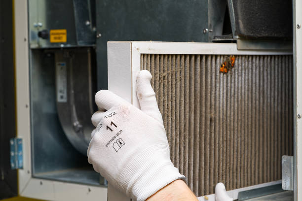 Best Local Air Duct Cleaning Services  in George, IA