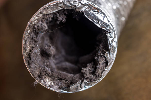 Best Air Duct Cleaning Near Me  in George, IA